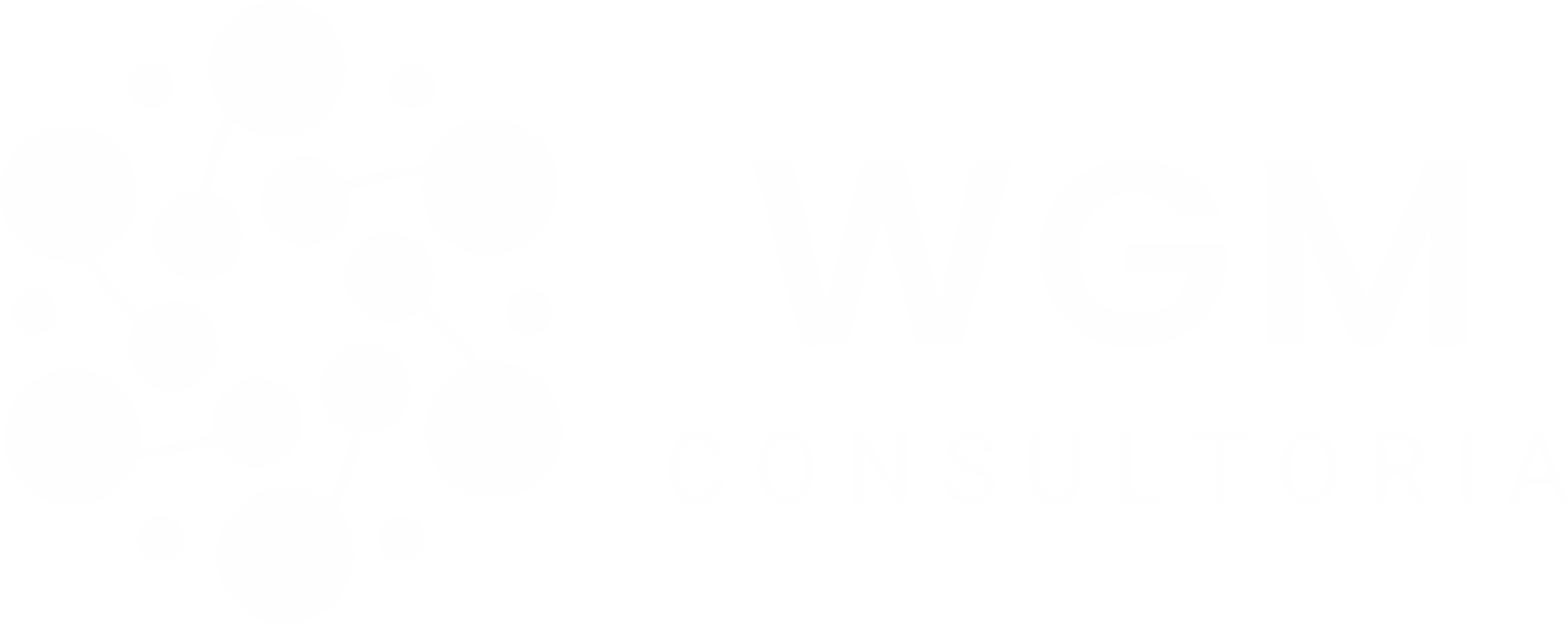 WGM Consultoria